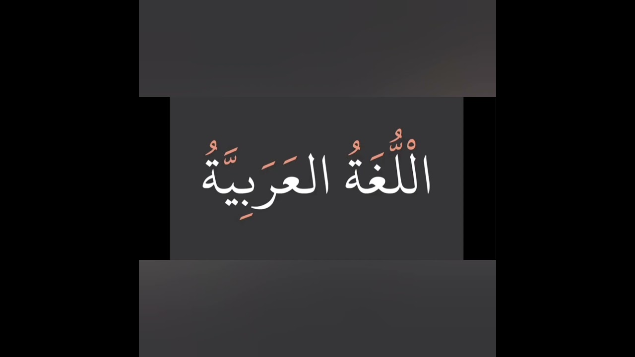 tashkeel harakat tanwín shadda sukun aprende Árabe con Nour