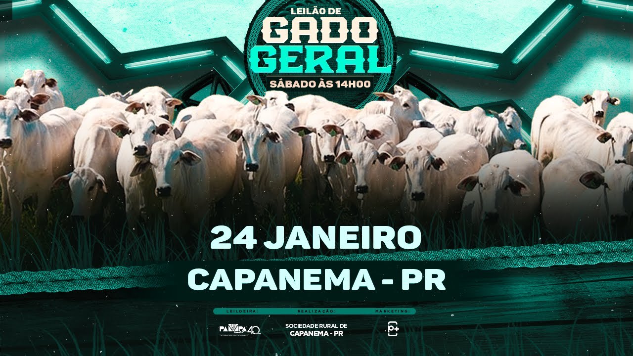 Leilão de Gado Geral, CAPANEMA/PR - 24/01/2026 14:00h