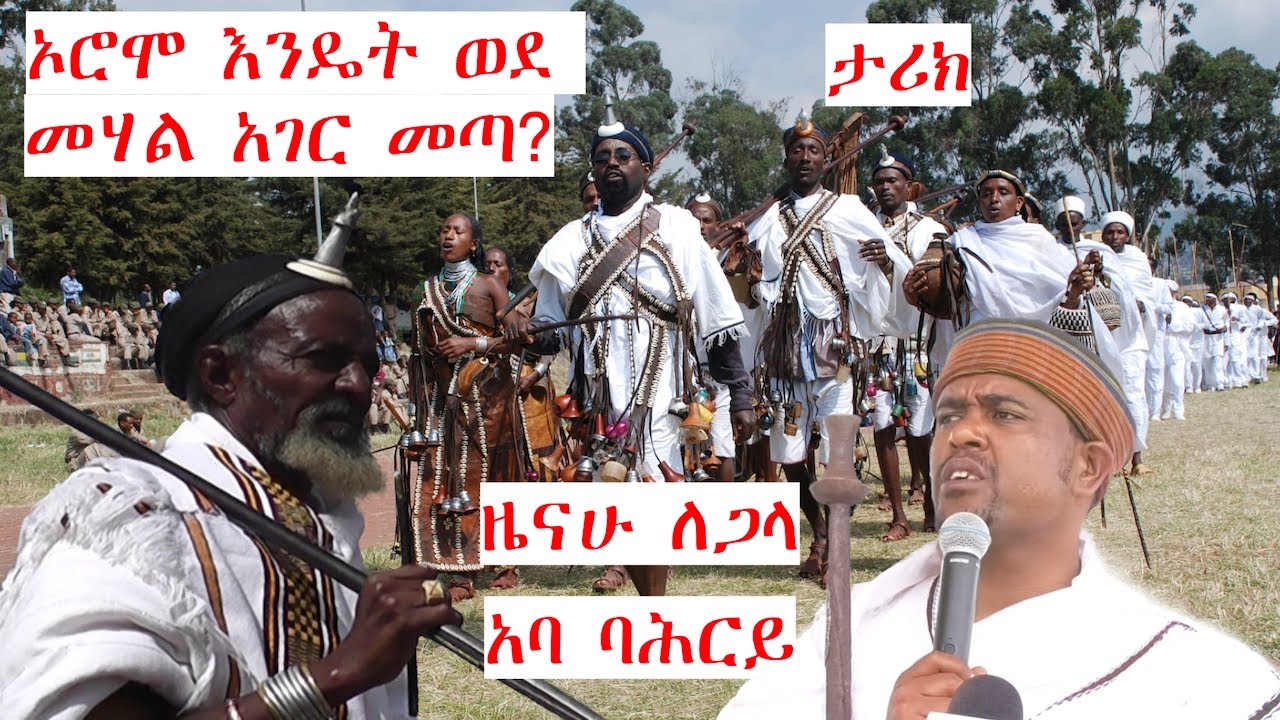ኦሮሞዎች እንዴት ወደ መሃል አገር መጡ? | ዜናሁ ለጋላ | አባ ባሕርይ