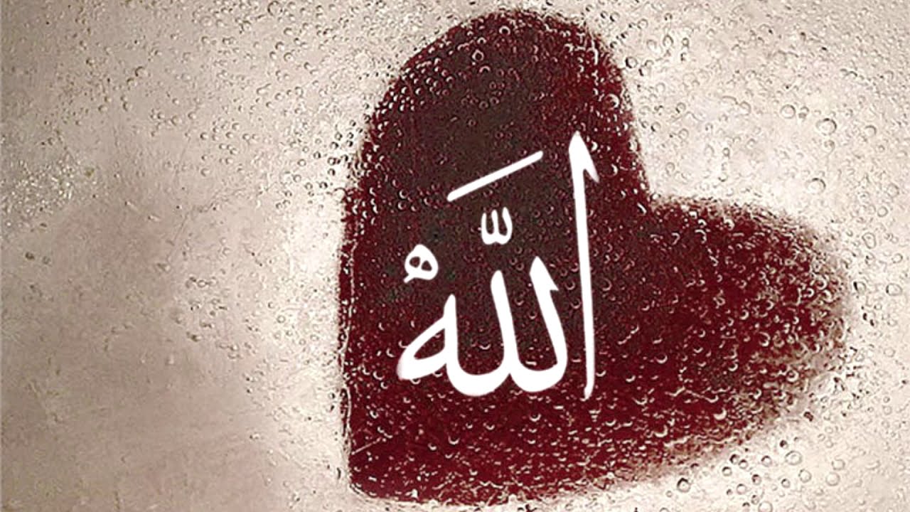 Hor Ibn Arebi: MOGA SRCA ŠEHER