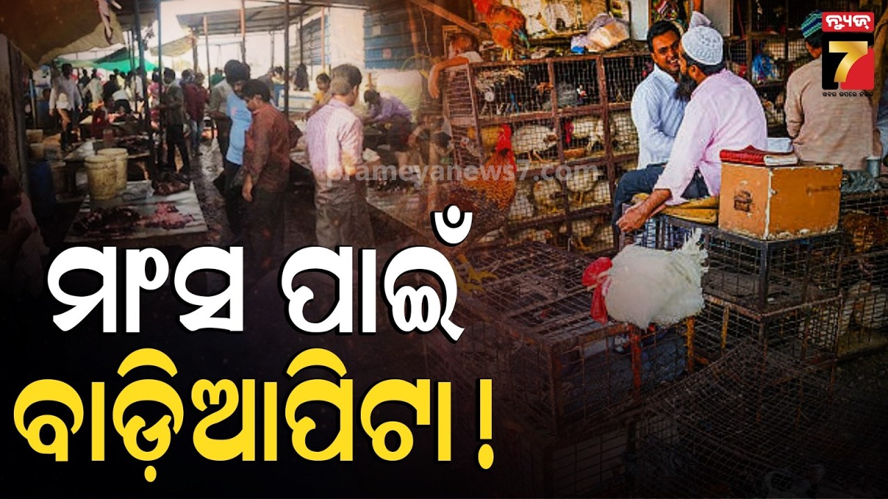 ଆଜି ପହିଲି ରଜରେ ଆମିଷ ମାର୍କେଟରେ ପ୍ରବଳ ଭିଡ | Raja Festival | Bhubaneswar NonVegMarket | Raja 2026 |