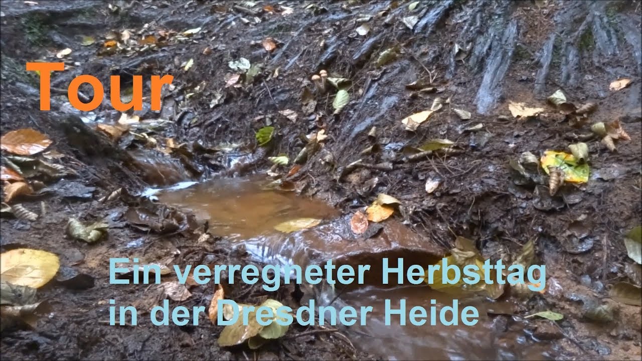 TOUR: Dresdner Heide | Ein verregneter Herbsttag | Outdoor Wandern Deutschland