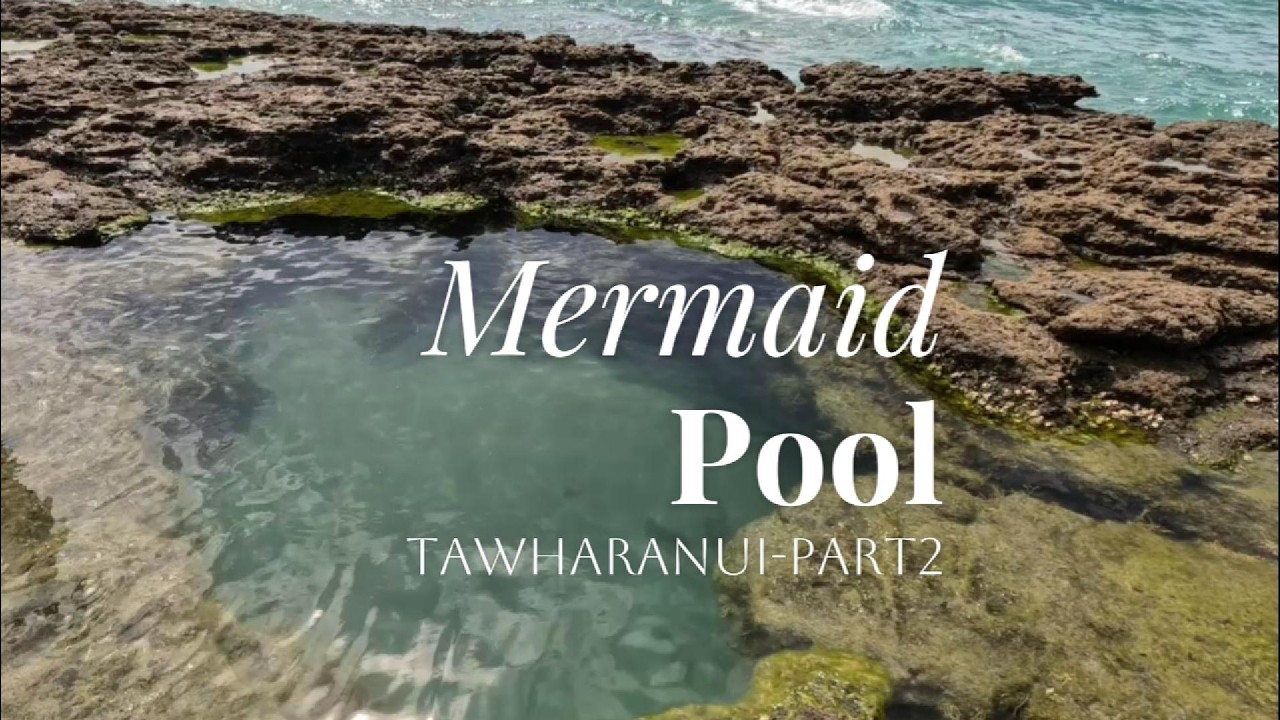 Auckland’s Secret Mermaid Pool | Tāwharanui Marine Reserve