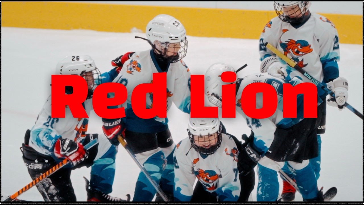 Catch The Lion