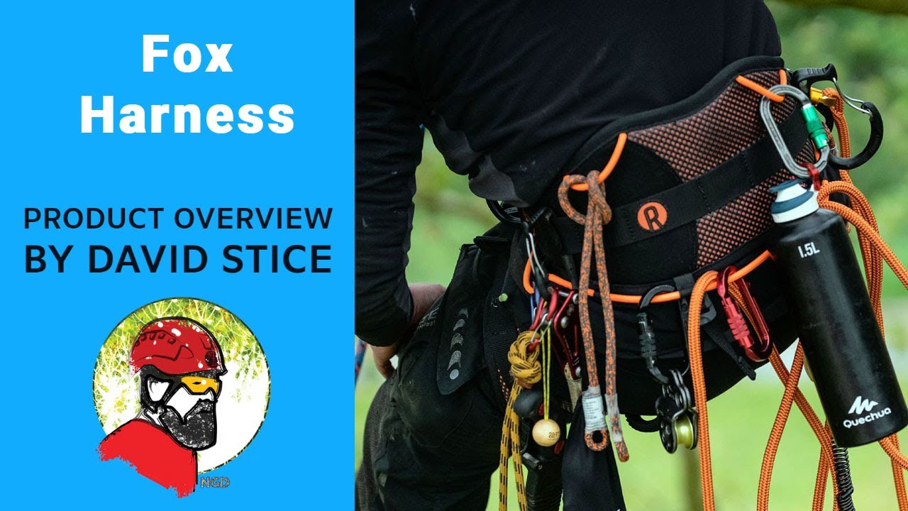 What does a quality tree climbing harness look like in 2025? Dave takes a look at the Fox Harness