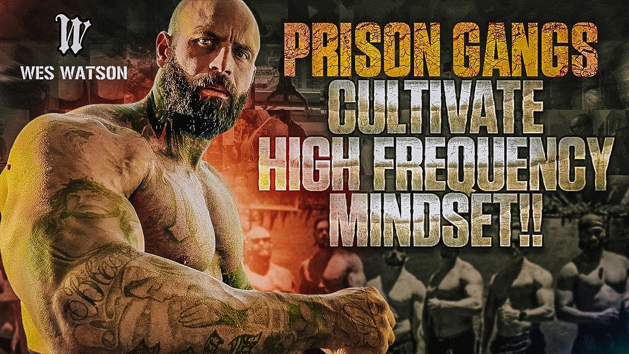 Prison Gangs: Cultivate High Frequency Mindset!!