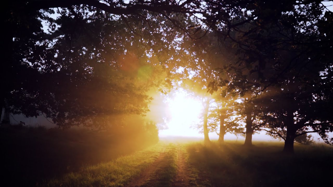 Voice of Nature by Lesfm - Dreamy Relaxing Motivational Natural  sounds for  Relaxation