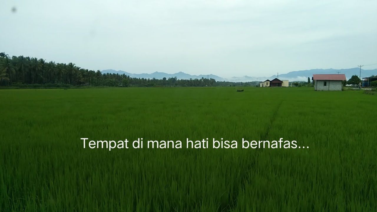 SUASANA RAMADHAN DIKAMPUNG 21 FEBRUARI 2026 | RURALAMBIENCE