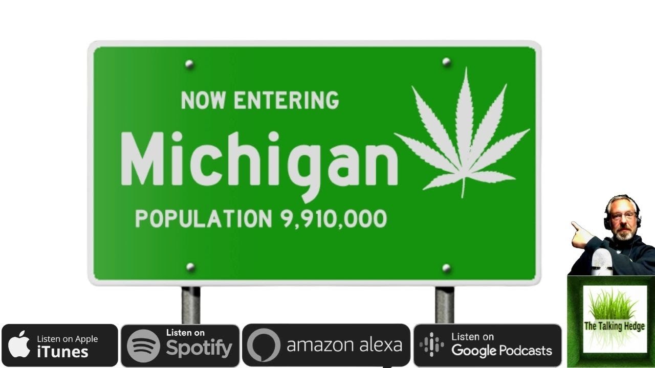 High-Level Overview of the Michigan Cannabis Market