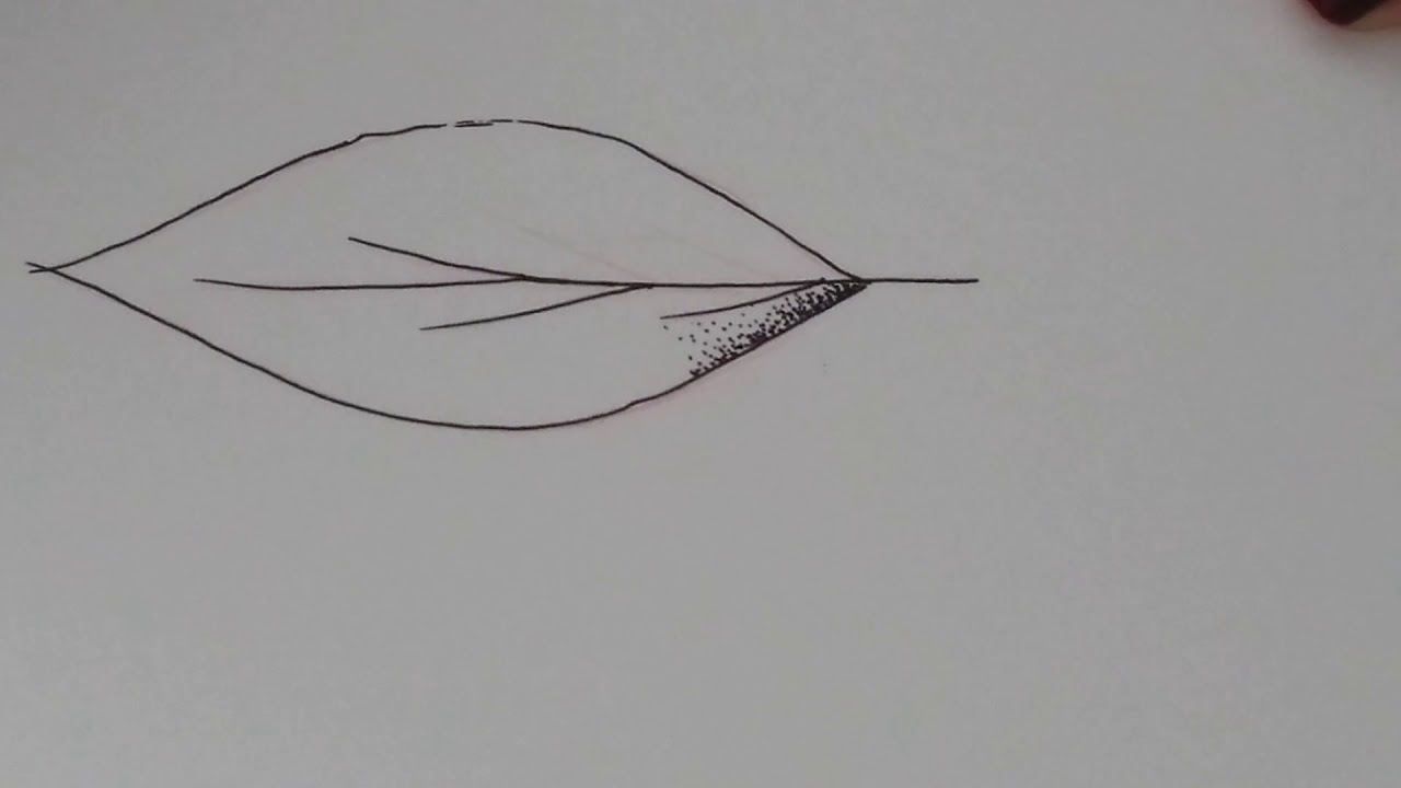 Como desenhar PONTILHISMO e HACHURA