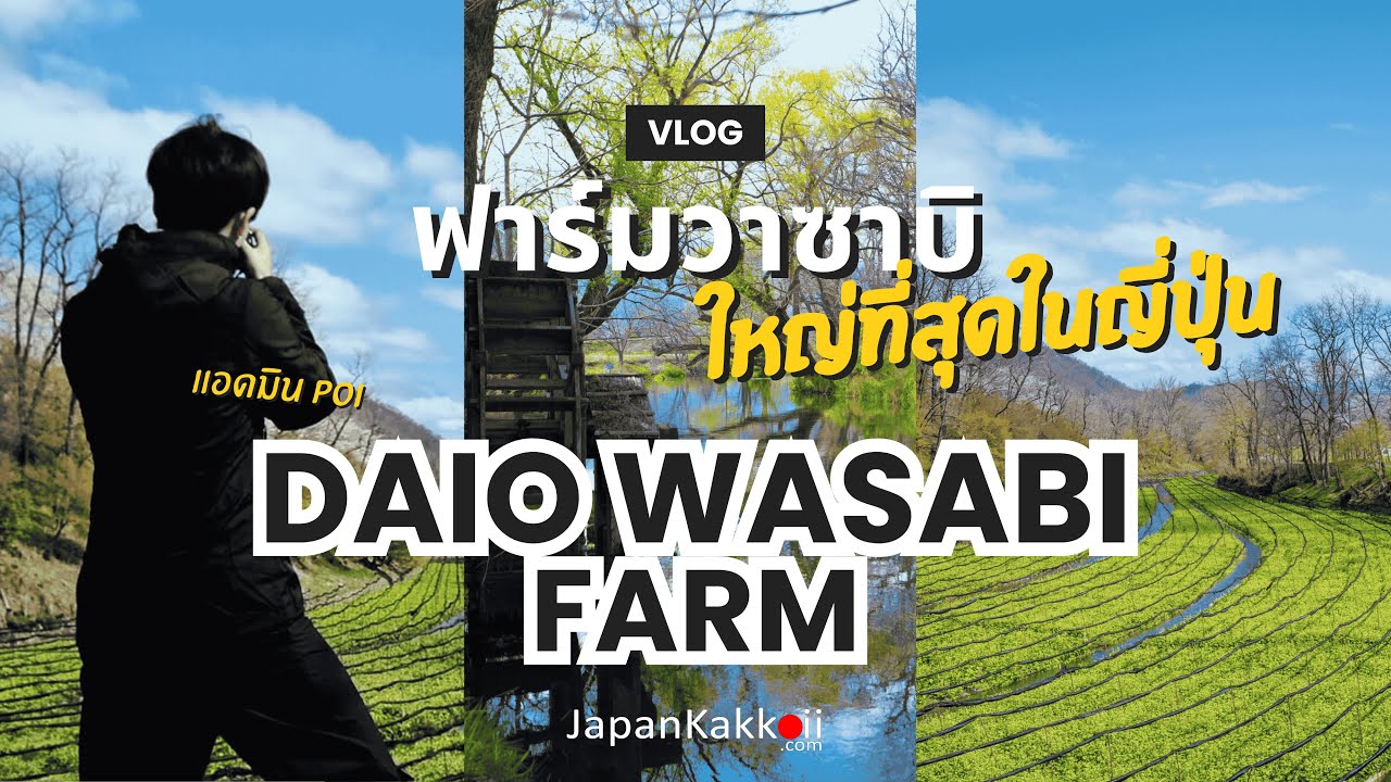 Daio Wasabi Farm พาเที่ยวสวนวาซาบิที่ใหญ่ที่สุดในญี่ปุ่น | VLOG