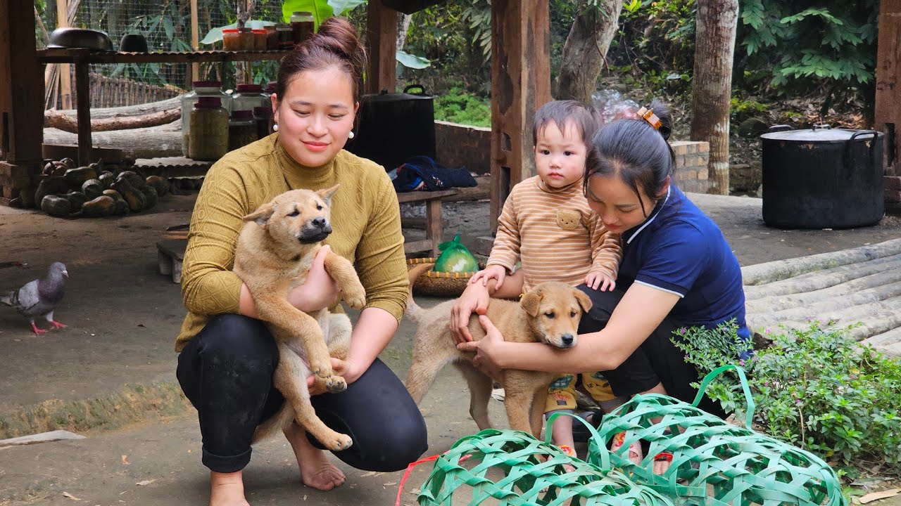 Ly Thi Ca Gave Dogs Breeds & Ginger — Изготовление бамбуковых корыт, выращивание имбиря, кулинария