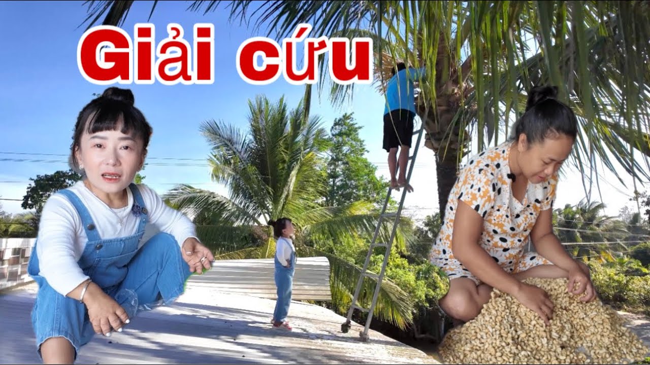 Ut Mini Chạy Vội Sang Giải Cứu B&eacute; 6 V&agrave; Pha Cưa Dừa Nguy Hiểm Của Anh 2 Đi V&agrave;o L&ograve;ng Đất. 