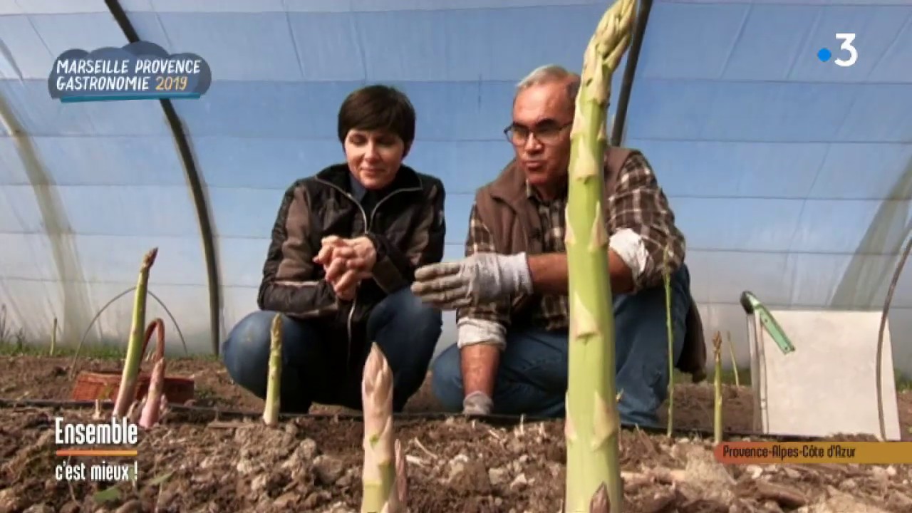 Les asperges de Mallemort dans les petits Bonheurs de Carine AIGON