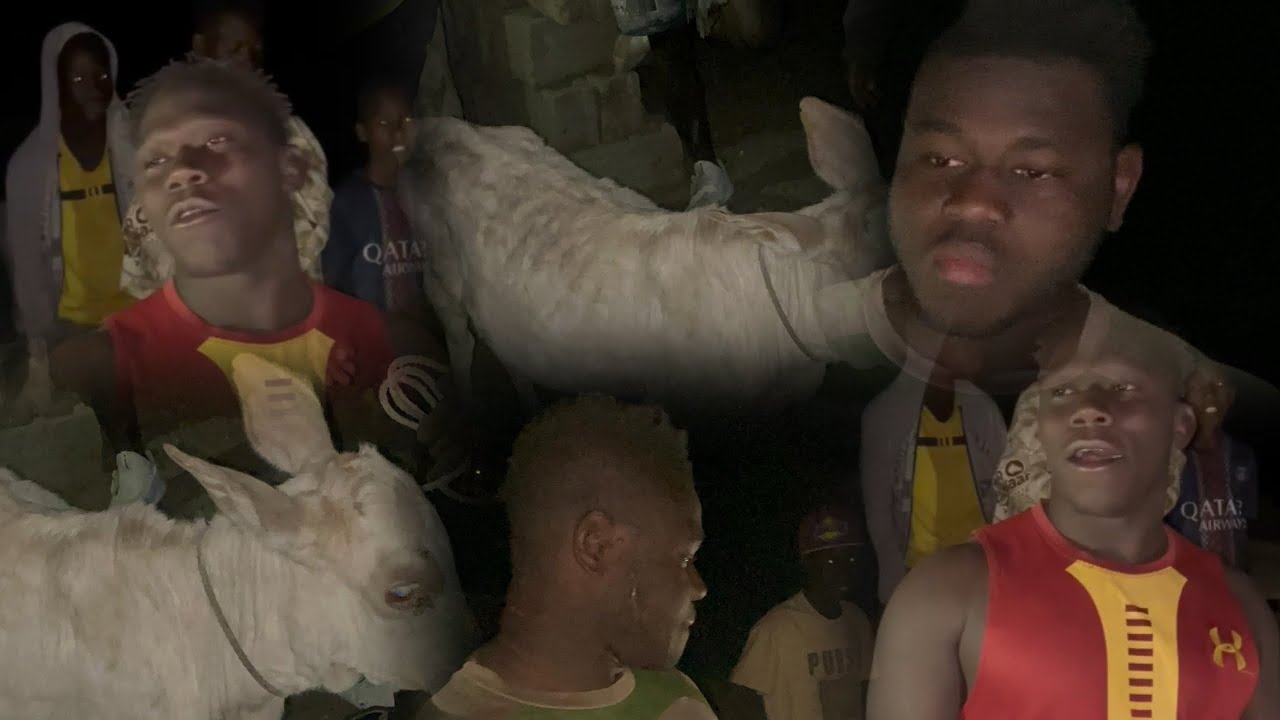 problème : départage des bœufs à Lerane coly 