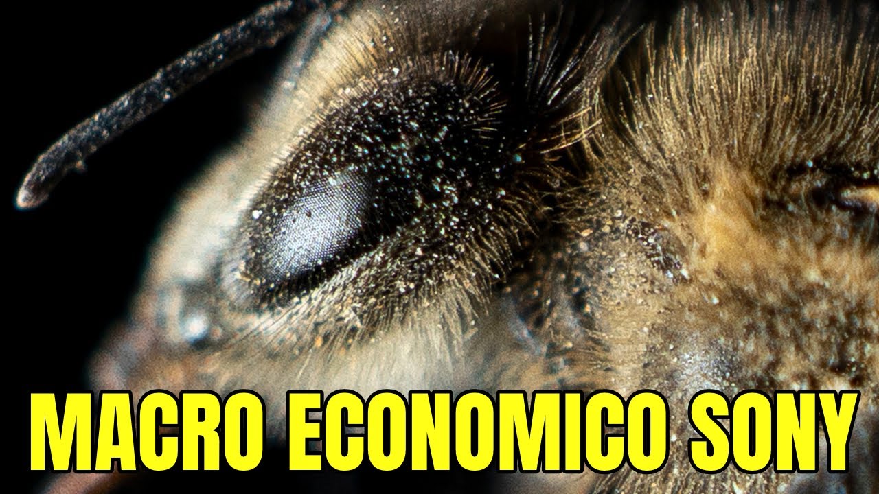 El MEJOR objetivo MACRO de Sony, el 30 mm F3.5 liviano, nitido, economico.