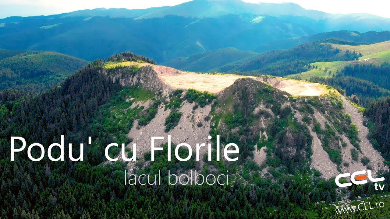 Podul cu Florile - lacul si barajul Bolboci  drona GoPro CEL.ro
