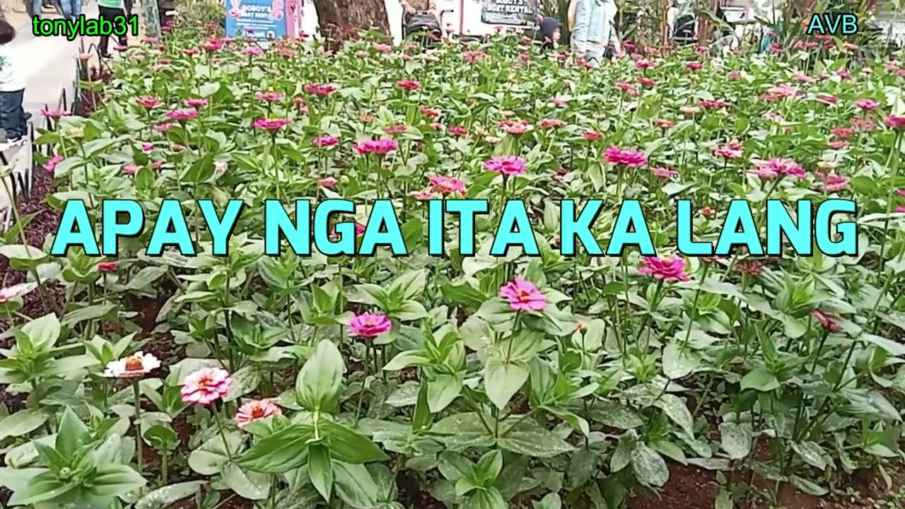 APAY NGA ITA KA LANG   VIDEOKE VERSION