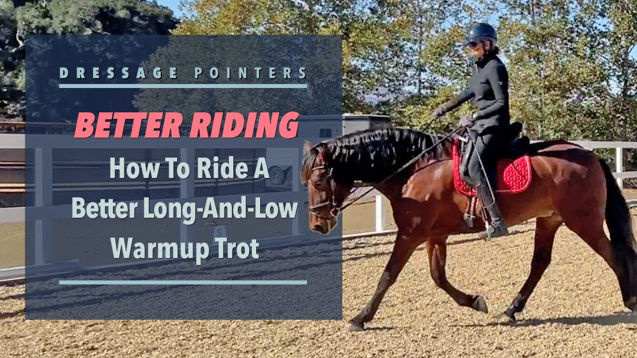 BETTER RIDING: How To Ride A Better Long-And-Low Warmup Trot
