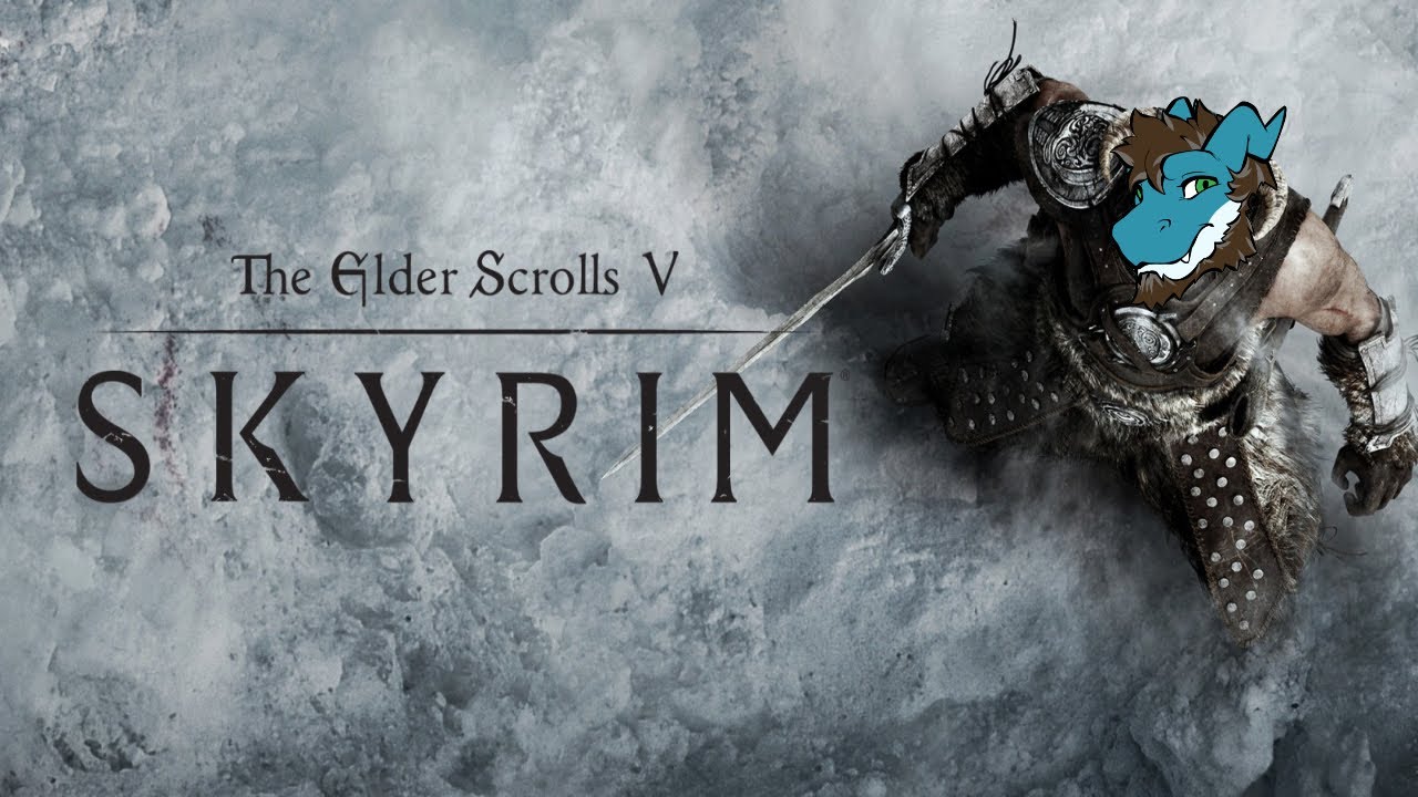 Skyrim (21)