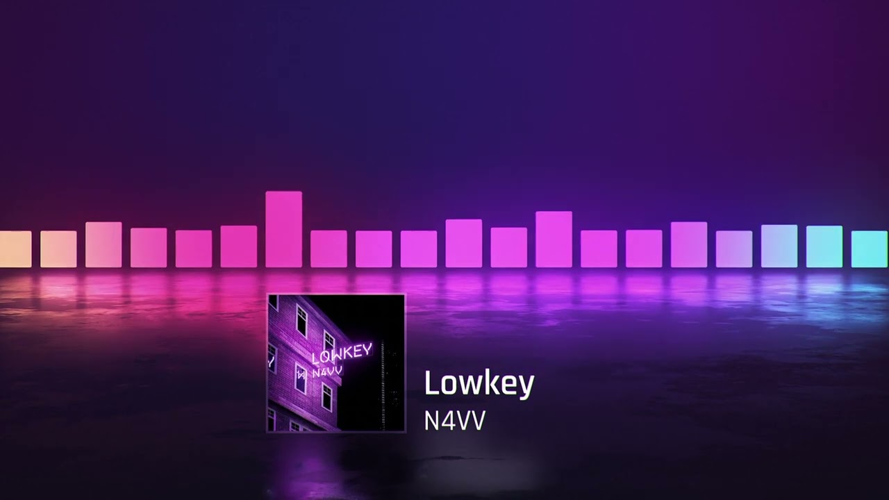 Lowkey - N4VV (Official 2024 Punjabi Visualizer)