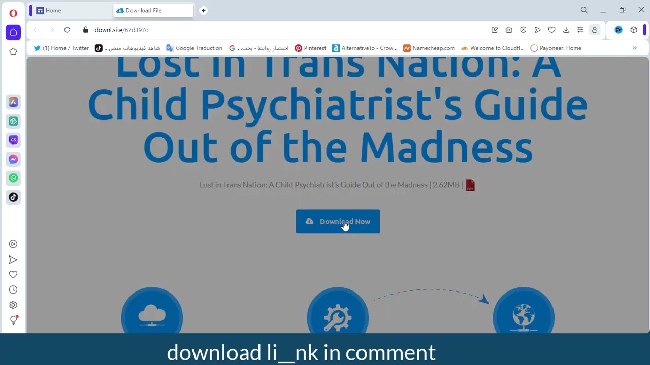 Lost in Trans Nation pdf 2023