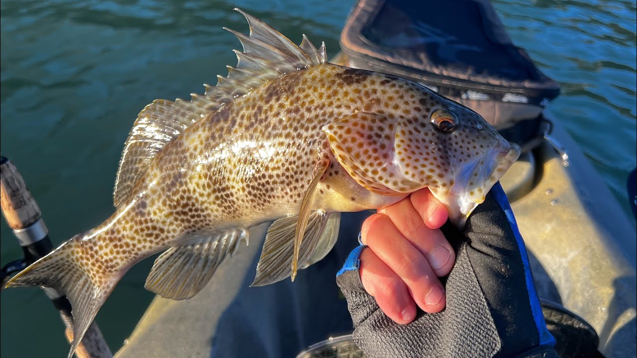 Kayak fishing the Carlsbad Lagoon