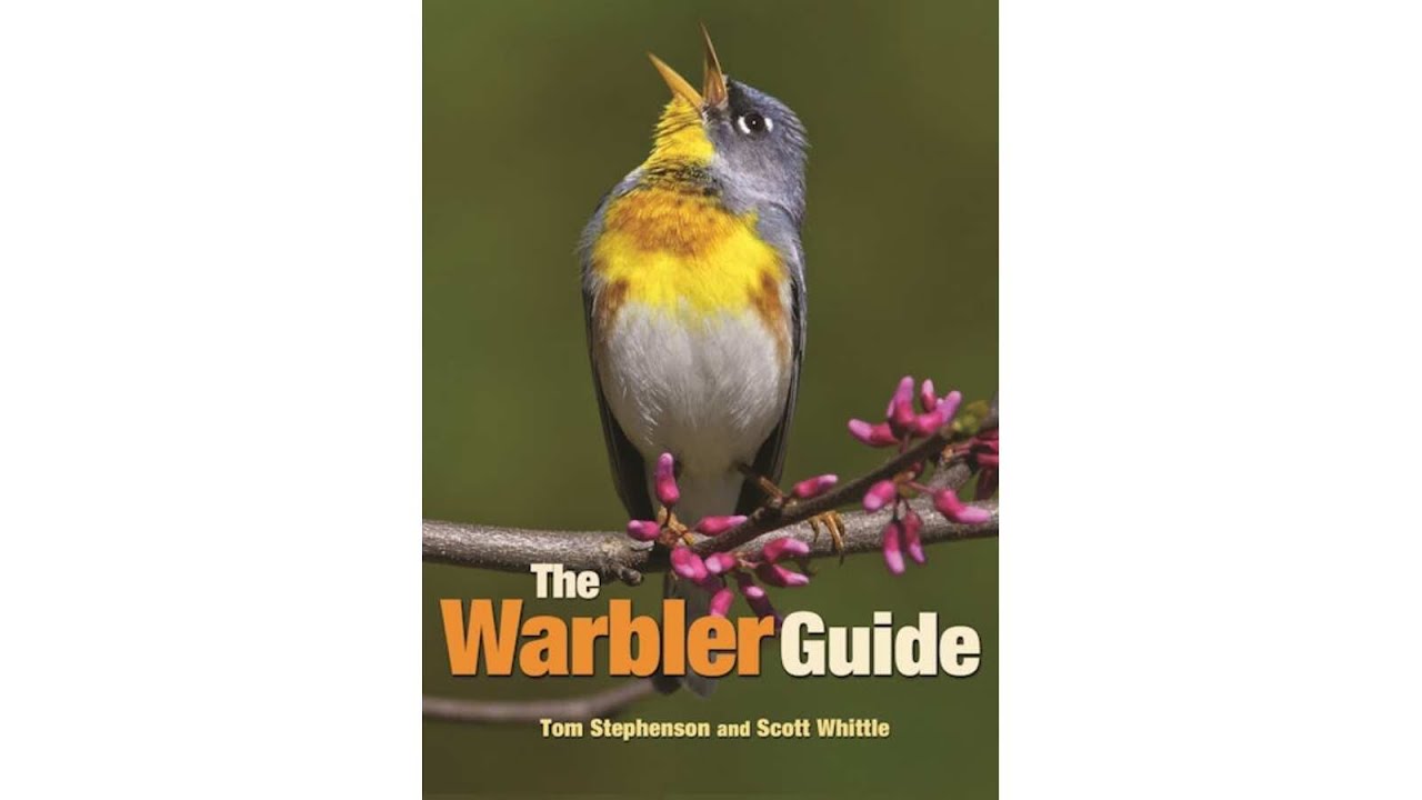 Rethinking Field Guides | Birding Tools & Resources