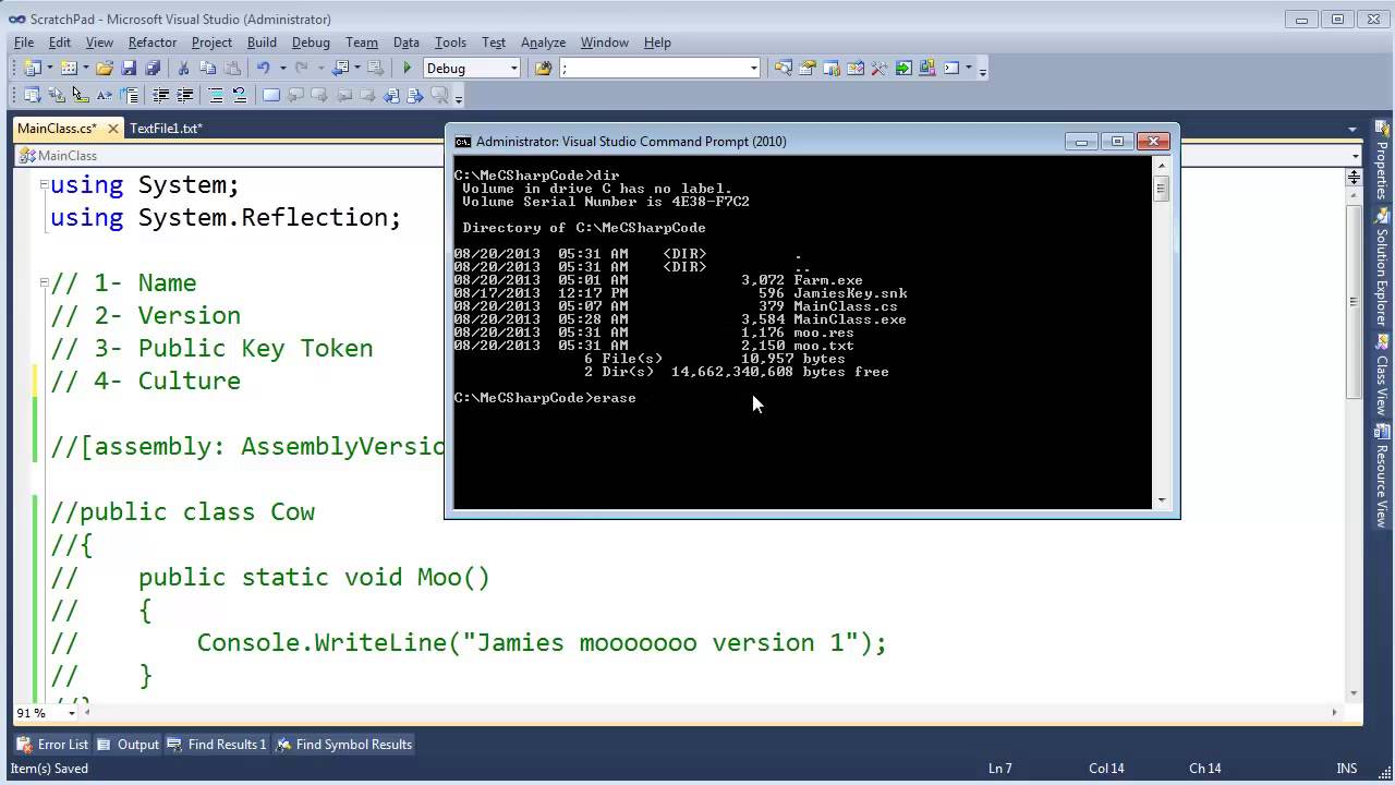 .NET Assembly Probing