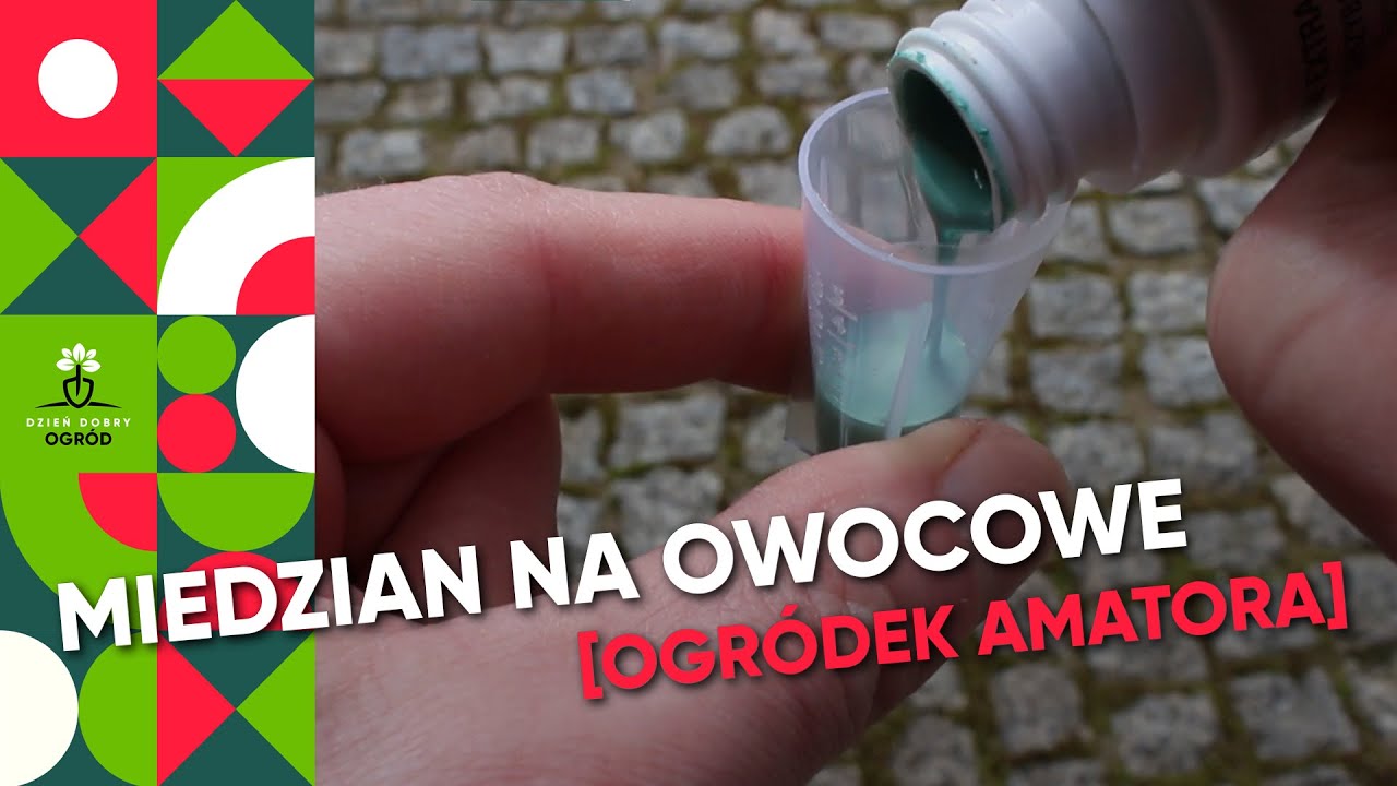 Oprysk miedzianem - drzewa owocowe - parch, szara pleśń, mączniak kędzierzawość liści brzoskwini