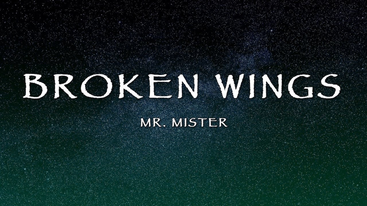 Mr. Mister - Broken Wings (Lyrics)