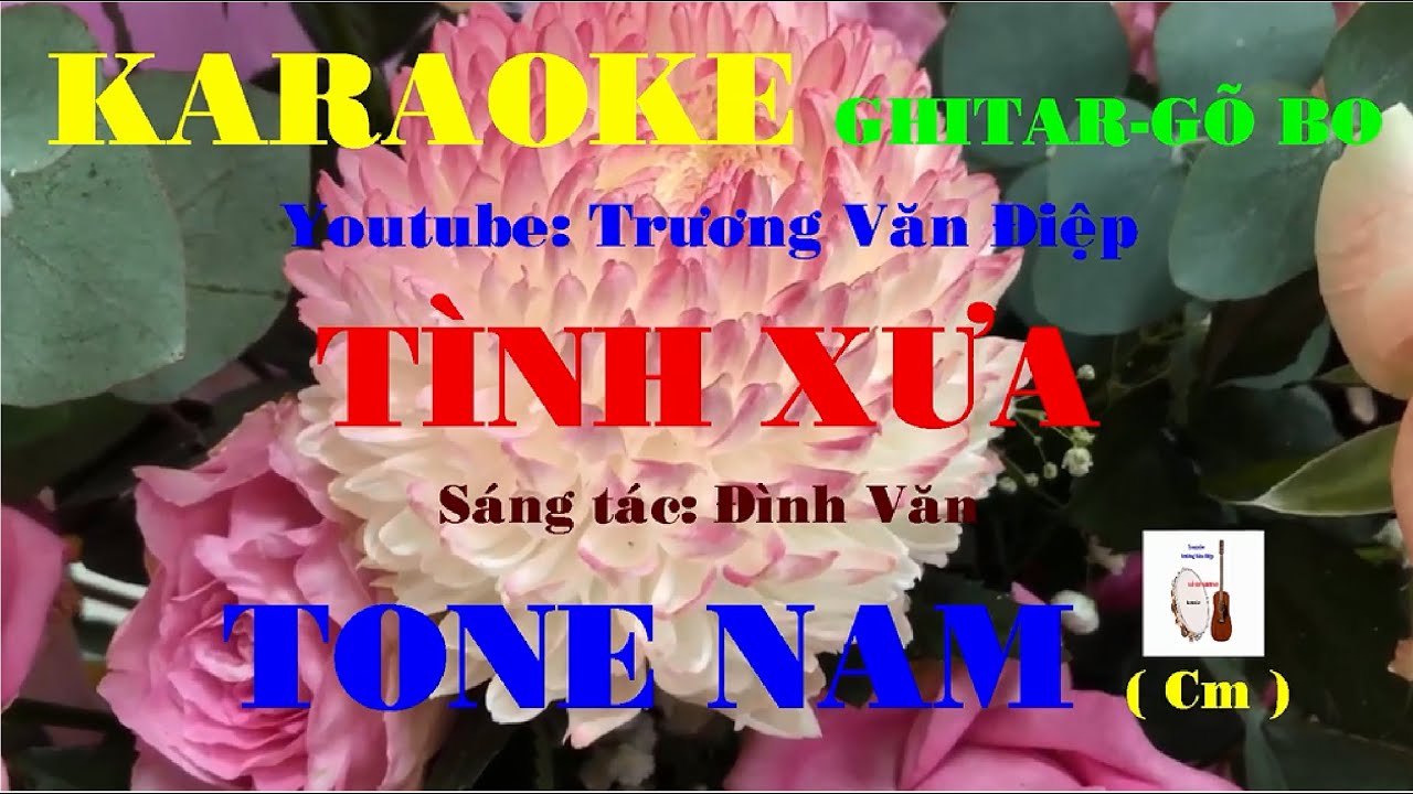 Karaoke Tình Xưa Tone Nam Gõ Bo | Trương Văn Điệp