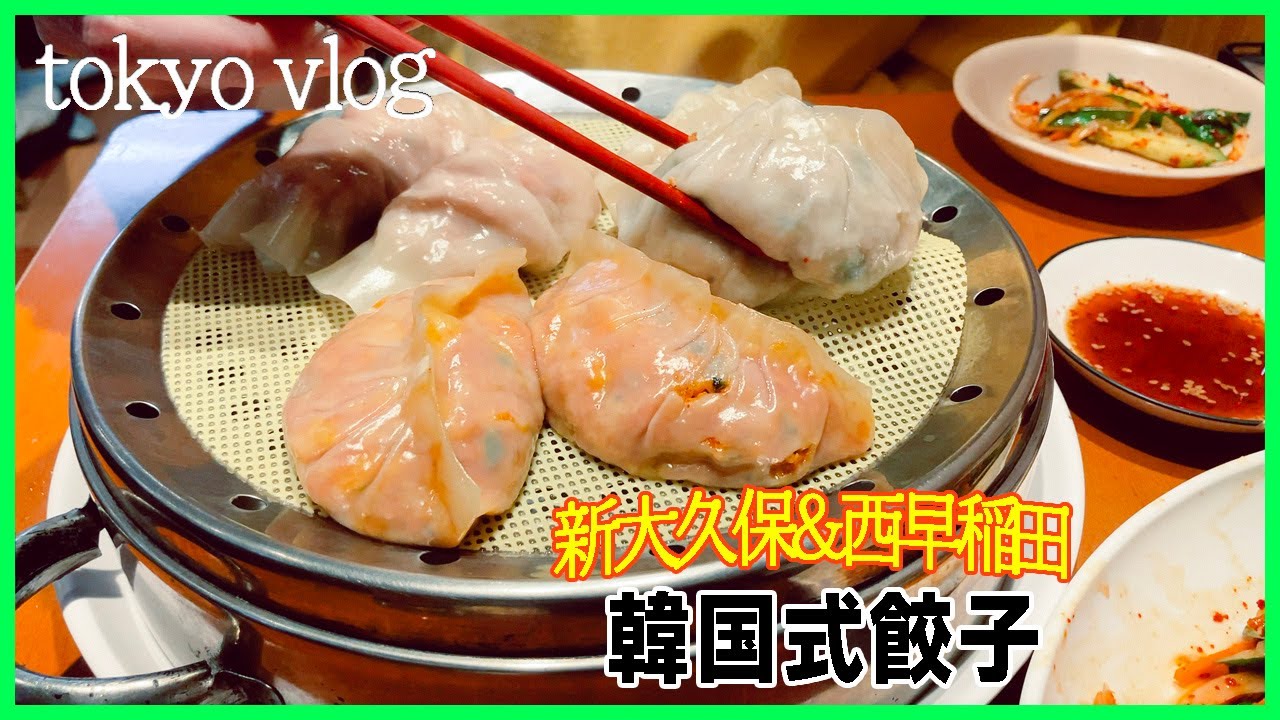 ❤️‍🔥 新大久保 韓国人VLOG🇰🇷 ⌇おすすめポチャで餃子＆トッポギ🍺⌇ 早稲田 巨大 肉じゃが定食おすすめ🥔⌇