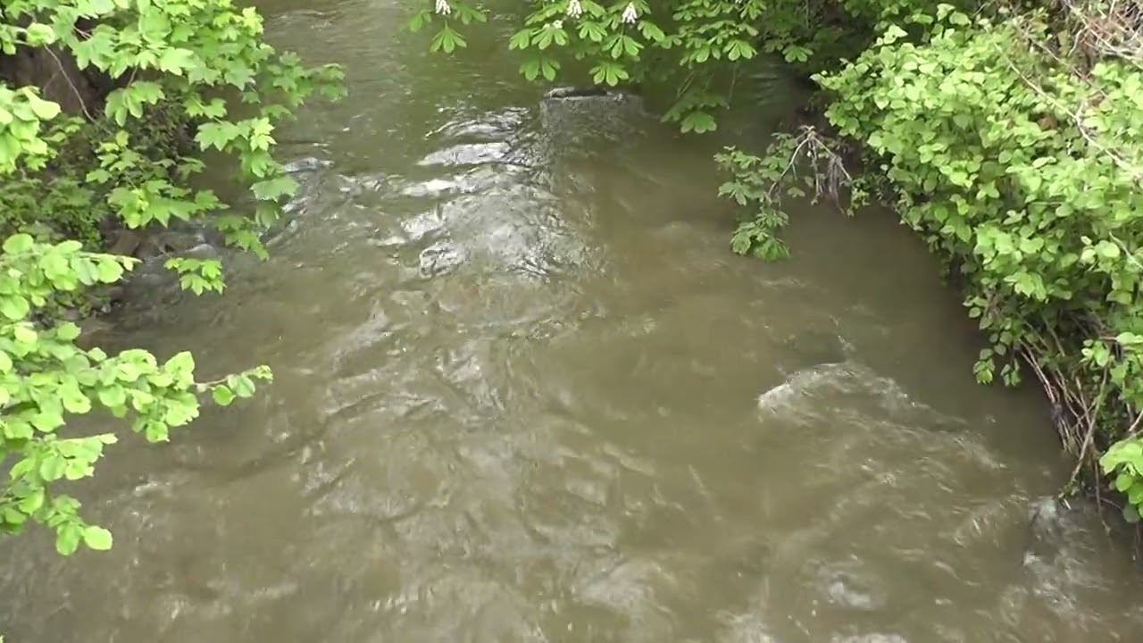 K&ouml;llerbach in P&uuml;ttlingen 07.05.2024