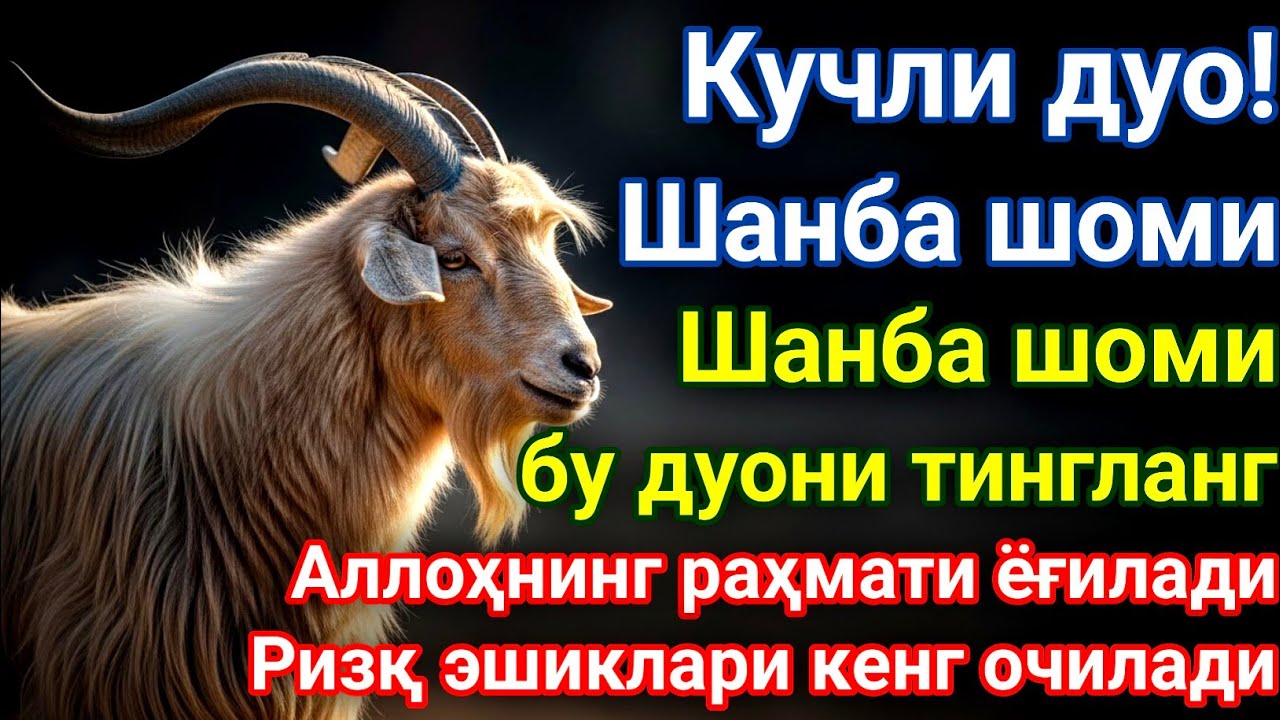 Берекали Шанба шомидаги энг кучли дуо!Оятул Курси — кучли ризқ дуоси