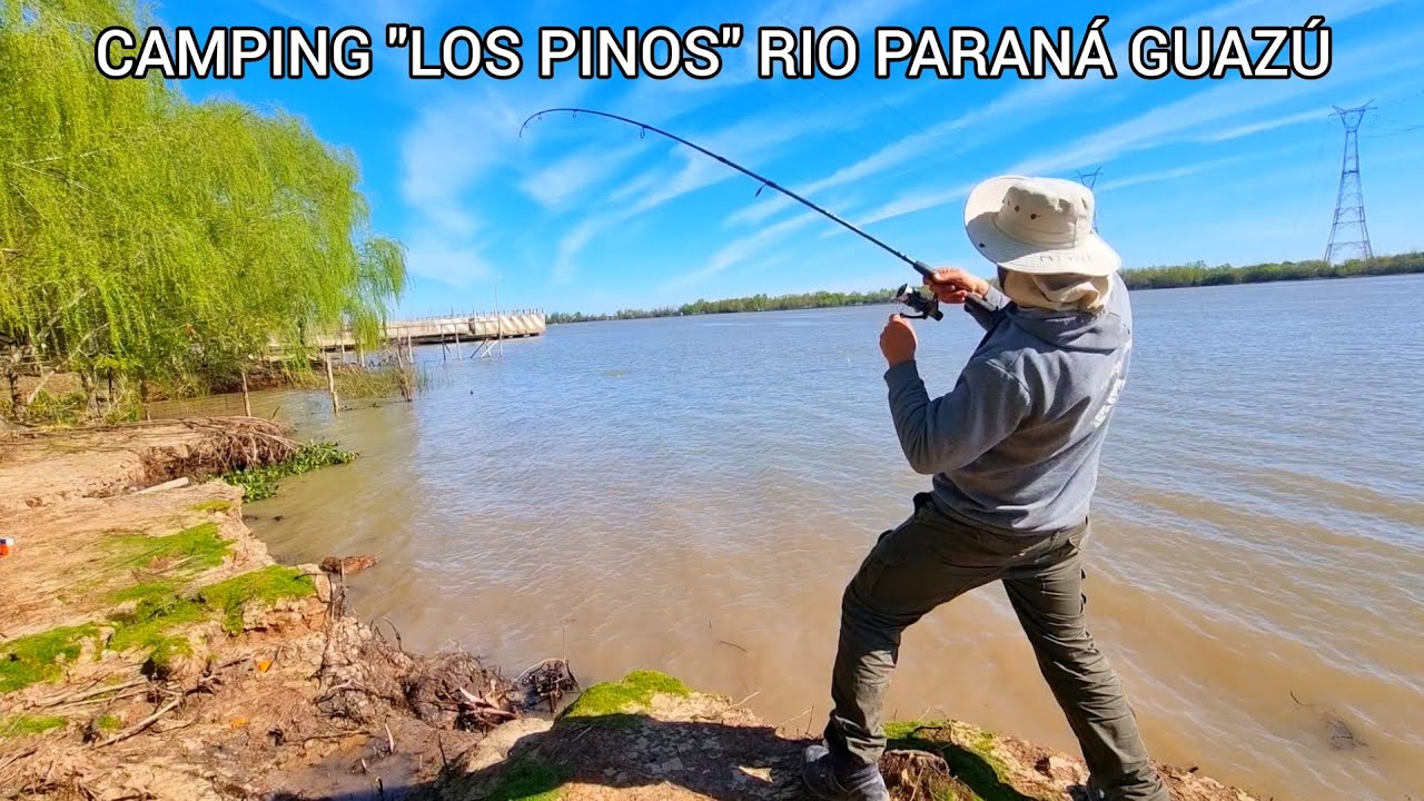Mucha PESCA VARIADA en este lugar increíble y Épico! aventuras y naturaleza en pleno rio MJPESCA