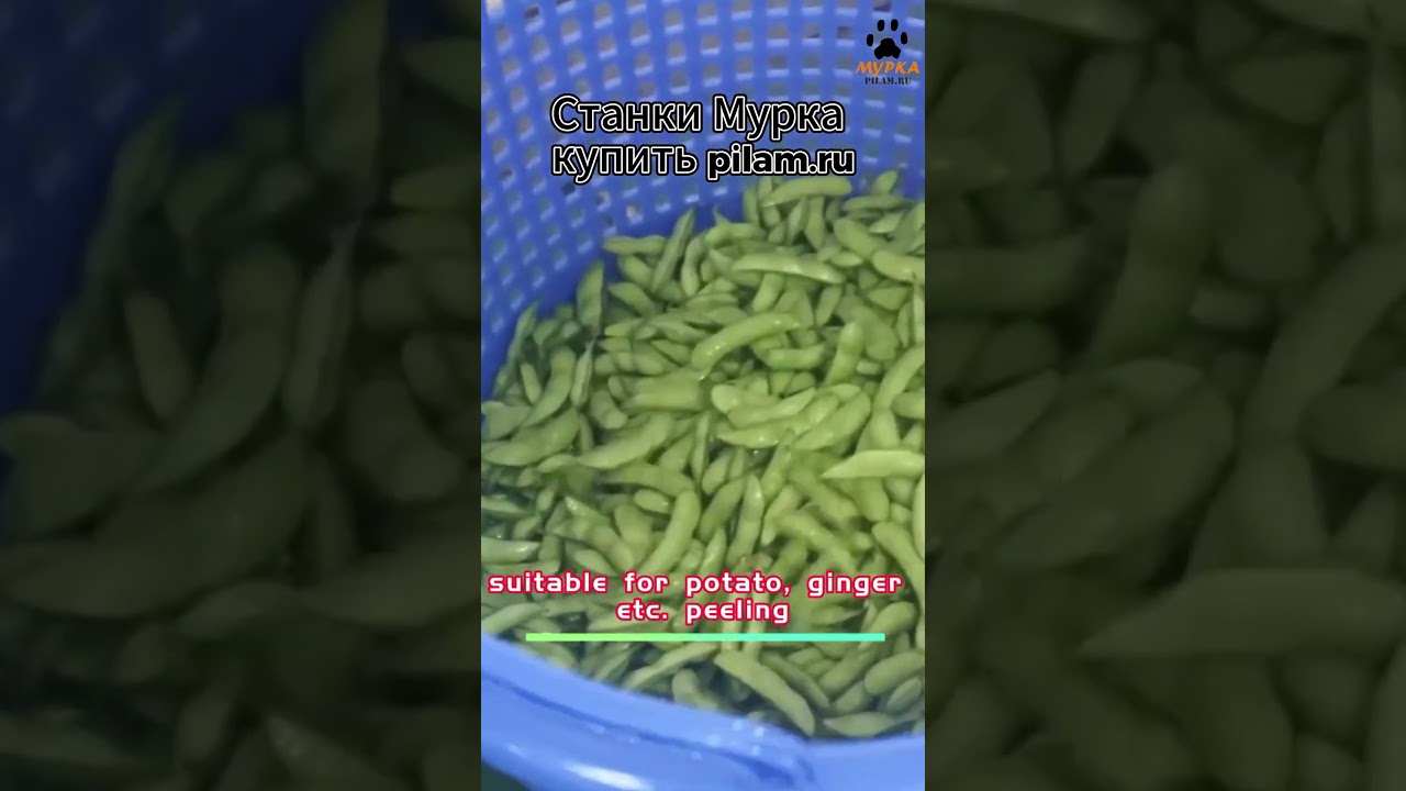 Мурка Машина для очистки  овощей Vegetable peeling machine  pilam.ru