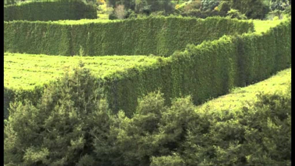Organic and and integrated management orchards: how they affect native bird densities