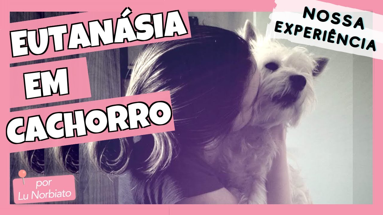 EUTANÁSIA EM CACHORRO - Nossa experiência com a Nina