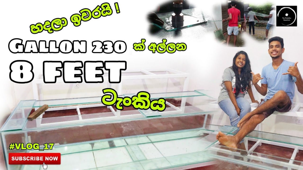 How I made my 8 feet tank | #vlog_17 | The Fishyflex