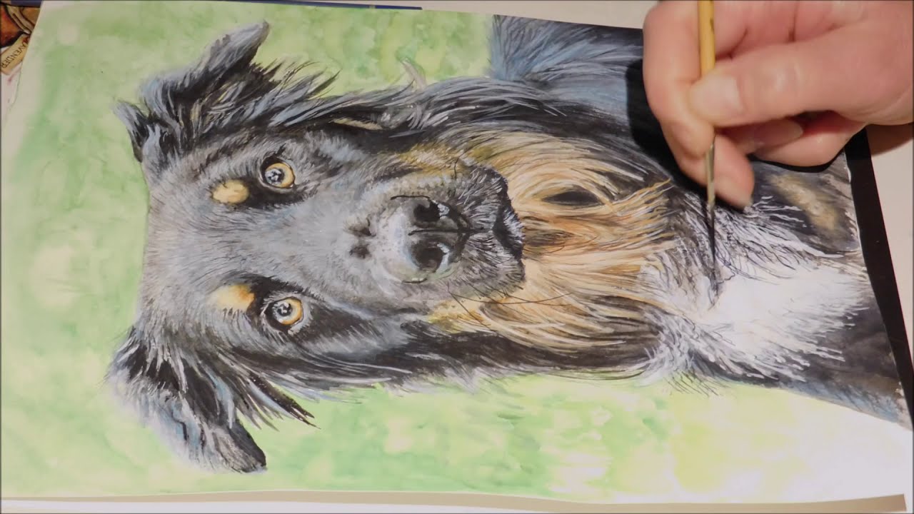 Aquarell von einem Hund im Zeitraffer