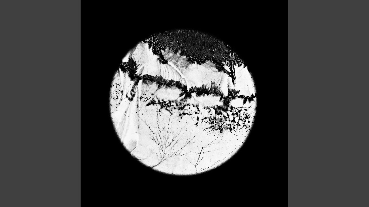 Pluie D'arbres