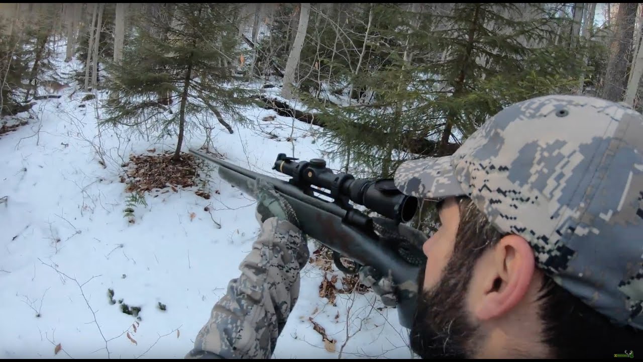 Big Buck Tracking in 4K