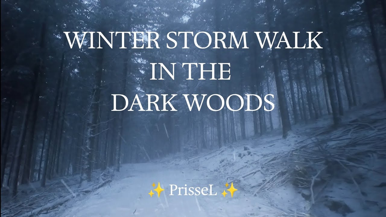 ✨🥾🌨️ Blizzard in the Forest at Night walking Immersive Winter Soundscape nature relaxation HD ✨ 
