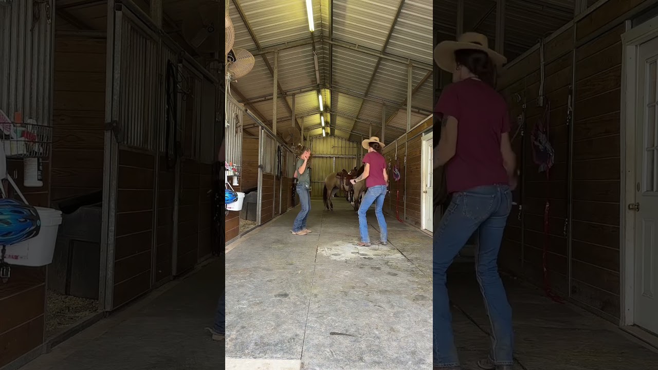 Happy Monday, let&rsquo;s kick it off right 🕺🏼 #coltstarting #horsetrainer #monday