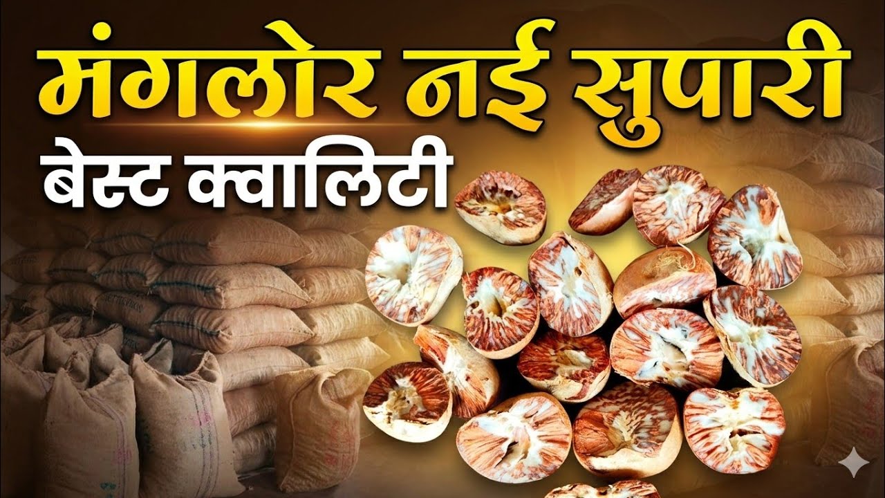 Karnataka Arecanut, manglore Arecanut betelnut, manglore supari, betelnut #arecanut #youtube #vairal