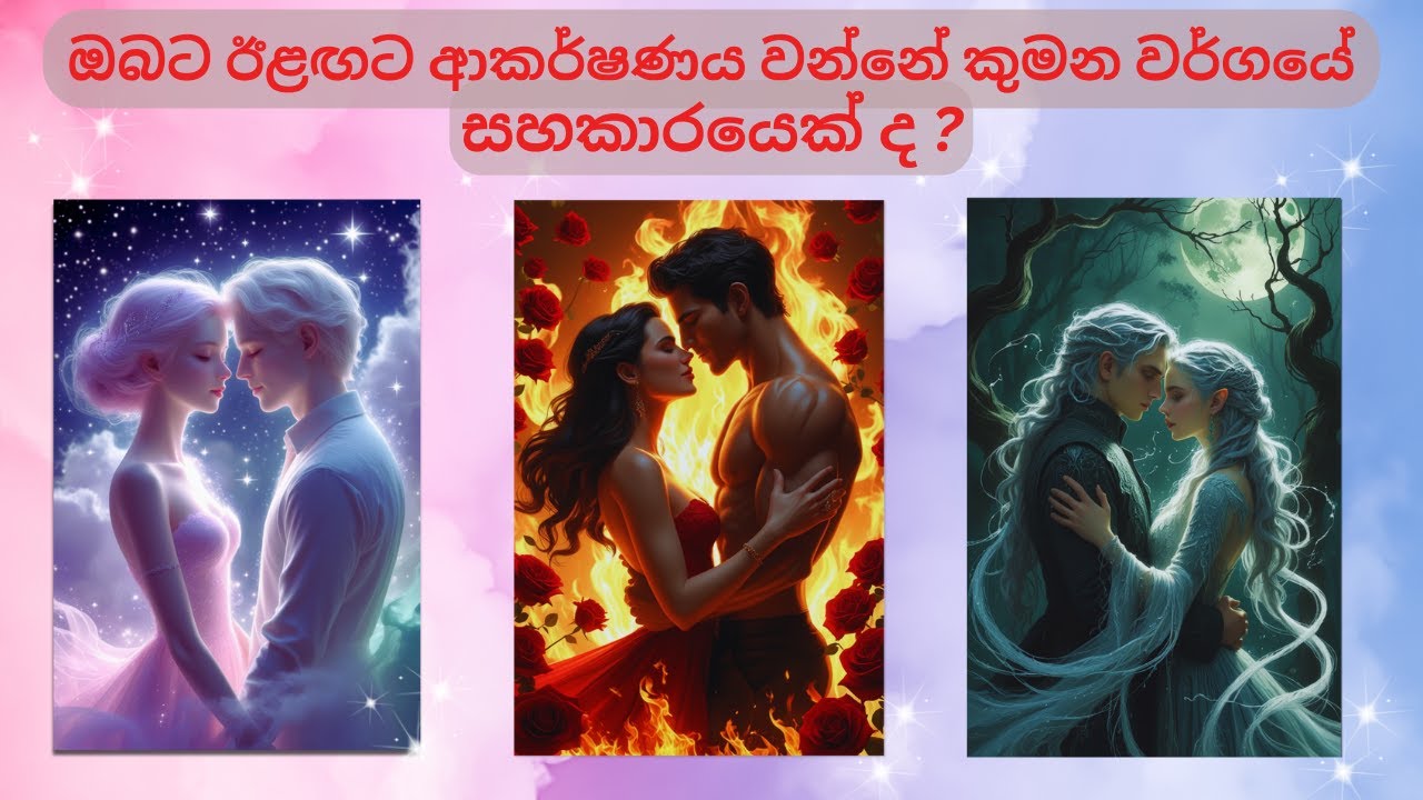 What Kind of Partner Will You Attract Next? 💖 | Tarot Reading Sinhala #tarotreadingsinhala