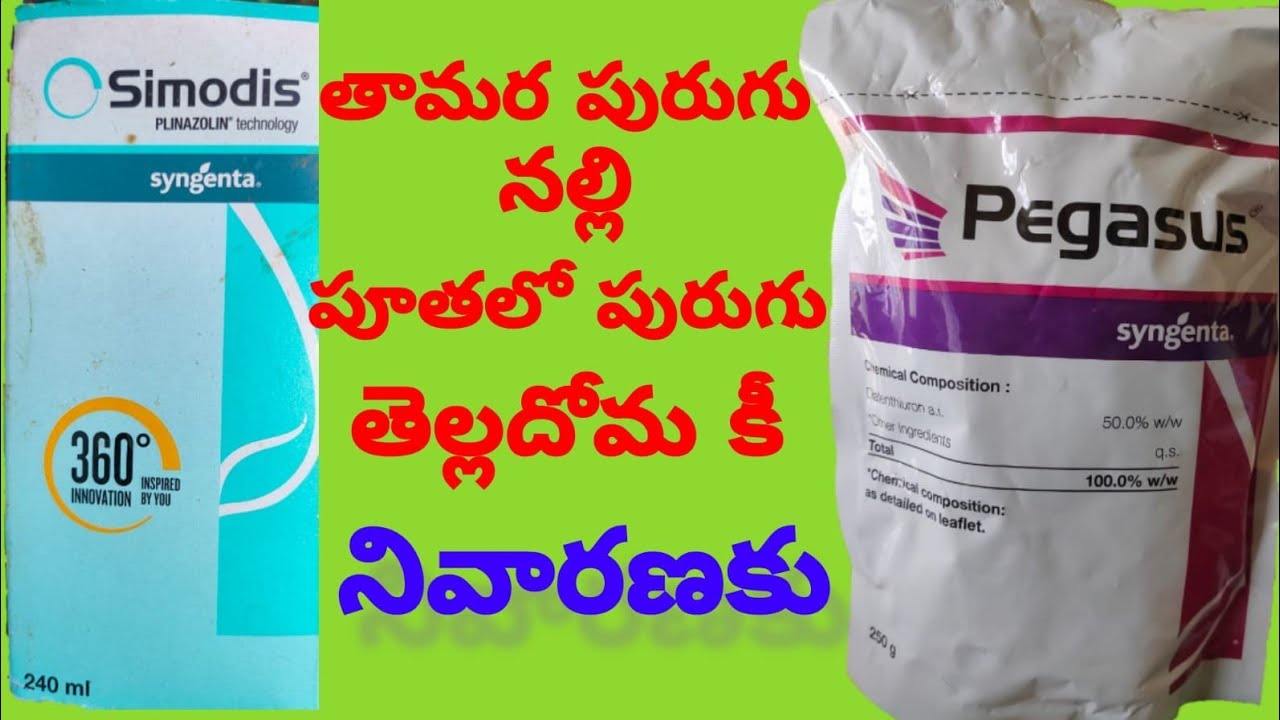 thrips, mites,whitefly puthalo purugu control with simodis and Pegasus