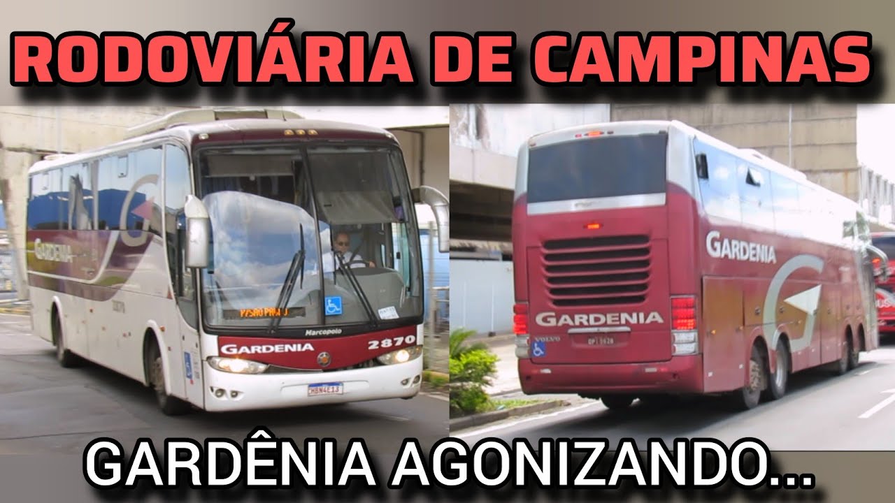 RODOVIÁRIA DE CAMPINAS - PARTE 2 | GARDÊNIA COM CARROS VELHOS E SUCATEADOS!!!