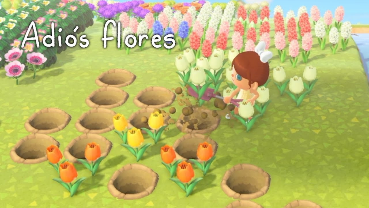Preparando mi isla para decorar en tiempo real | Animal Crossing New Horizons